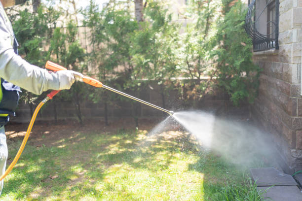 Best Mosquito Control Services  in Harbor Bluffs, FL